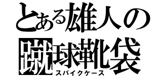 とある雄人の蹴球靴袋（スパイクケース）