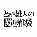 とある雄人の蹴球靴袋（スパイクケース）