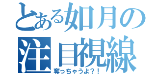 とある如月の注目視線（奪っちゃうよ？！）