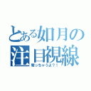 とある如月の注目視線（奪っちゃうよ？！）