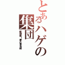 とあるハゲの集団（新開発！夢の育毛剤）