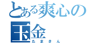 とある爽心の玉金（たまきん）