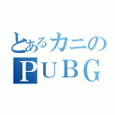 とあるカニのＰＵＢＧ（）