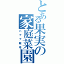 とある果実の家庭菜園（バナナ栽培）