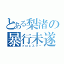 とある梨渚の暴行未遂（プロレスラー）