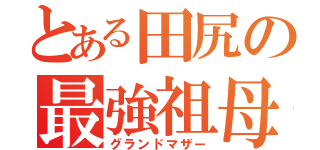 とある田尻の最強祖母（グランドマザー）