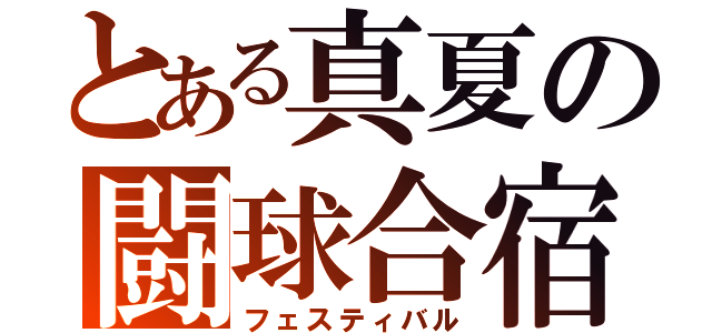 とある真夏の闘球合宿（フェスティバル）