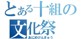 とある十組の文化祭（あにめけんきゅう）