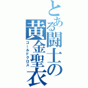 とある闘士の黄金聖衣（ゴールドクロス）