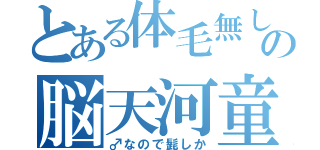 とある体毛無しの脳天河童（♂なので髭しか）