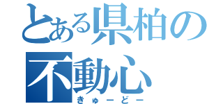 とある県柏の不動心（きゅーどー）