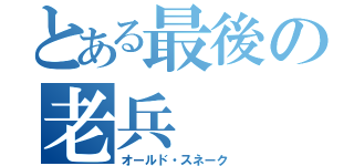 とある最後の老兵（オールド・スネーク）