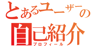 とあるユーザーの自己紹介（プロフィール）