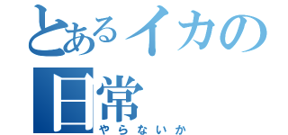 とあるイカの日常（やらないか）