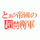 とある帝國の超禁衛軍（正義必勝）