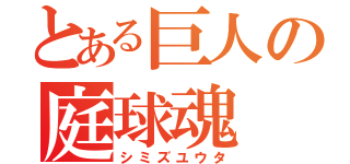 とある巨人の庭球魂（シミズユウタ）