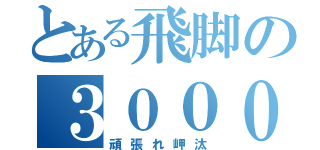 とある飛脚の３０００Ｍｔ（頑張れ岬汰）