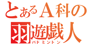 とあるＡ科の羽遊戯人（バドミントン）