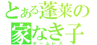 とある蓬莱の家なき子（ホームレス）