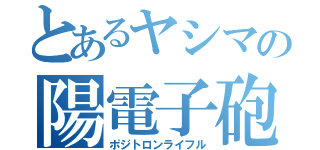 とあるヤシマの陽電子砲（ポジトロンライフル）