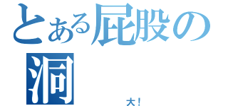 とある屁股の洞（    大！）