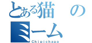 とある猫のミーム（Ｃｈｉｐｉｃｈａｐａ）