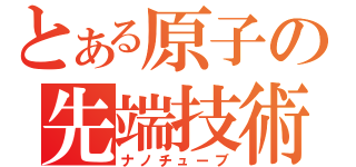 とある原子の先端技術（ナノチューブ）