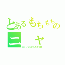 とあるもちもちのニ ャ ン（ニャンもる＠もちもち団）