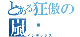 とある狂傲の嵐➴（インデックス）