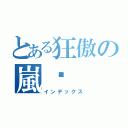 とある狂傲の嵐➴（インデックス）