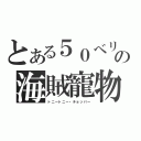 とある５０ベリーの海賊寵物（トニートニー・チョッパー）