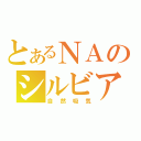 とあるＮＡのシルビア（自然吸気）