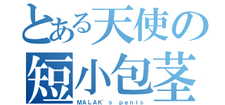 とある天使の短小包茎（ＭＡＬＡＫ'ｓ ｐｅｎｉｓ）