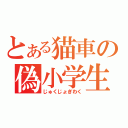 とある猫車の偽小学生疑惑（じゅくじょぎわく）