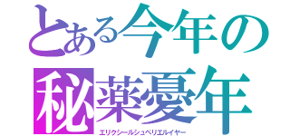 とある今年の秘薬憂年（エリクシールシュペリエルイヤー）