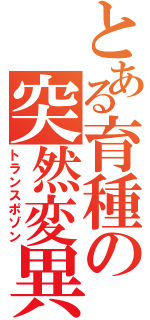 とある育種の突然変異（トランスポゾン）