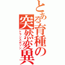 とある育種の突然変異（トランスポゾン）