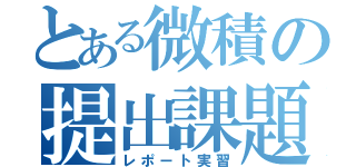 とある微積の提出課題（レポート実習）