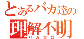 とあるバカ達の理解不明（バカ天部）