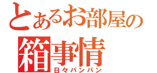 とあるお部屋の箱事情（日々パンパン）