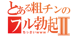 とある粗チンのフル勃起Ⅱ（ちっさいｗｗｗ）