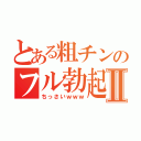 とある粗チンのフル勃起Ⅱ（ちっさいｗｗｗ）