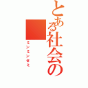 とある社会の（ミンミンゼミ）