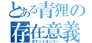 とある青狸の存在意義（ポケットオンリー）