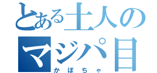 とある土人のマジパ目録（かぼちゃ）