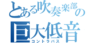 とある吹奏楽部の巨大低音（コントラバス）