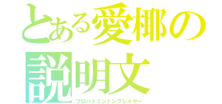 とある愛椰の説明文（プロバドミントンプレイヤー）