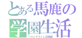 とある馬鹿の学園生活（バカとテストと召喚獣）