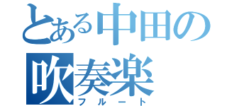 とある中田の吹奏楽（フルート）