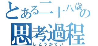 とある二十八歳の思考過程（しこうかてい）